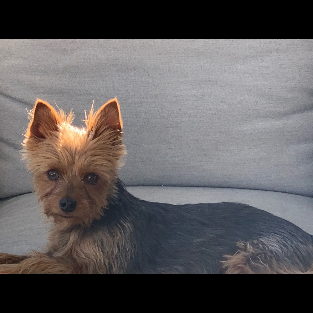 ❤️Peek in my photo book here❤️ 🐝 sure to ❤️ this